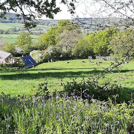 The Roost - A Bird'S Eye View In The Countryside Apartment Cullompton Exterior photo