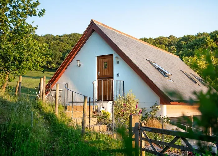 The Roost - A Bird\'S Eye View In The Countryside