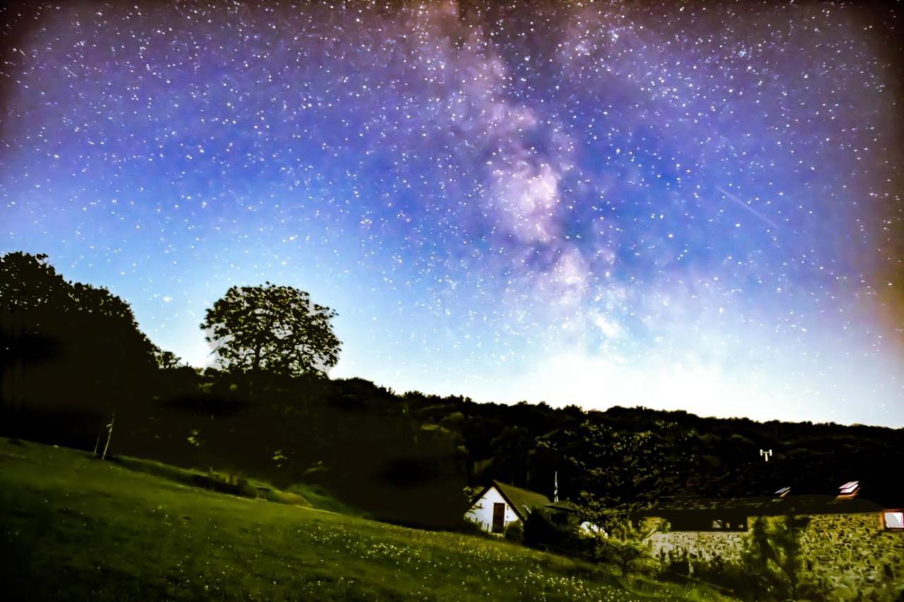 The Roost - A Bird's Eye View In The Countryside * Cullompton